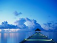 /album/fotogaleria-terminos-y-condiciones/dock-jpg/